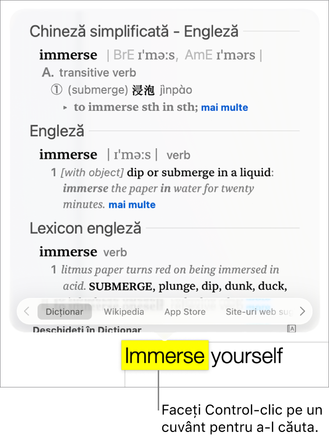 Text cu un cuvânt evidențiat și cu o fereastră care arată definiția acestuia și informații de lexicon. Două butoane din partea de jos a ferestrei oferă linkuri către dicționar și către Wikipedia.