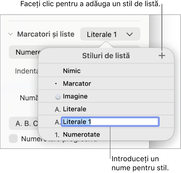Meniul pop-up Stiluri de listă, cu un buton Adaugă în colțul din dreapta sus și un nume de stil substituent cu textul aferent selectat.
