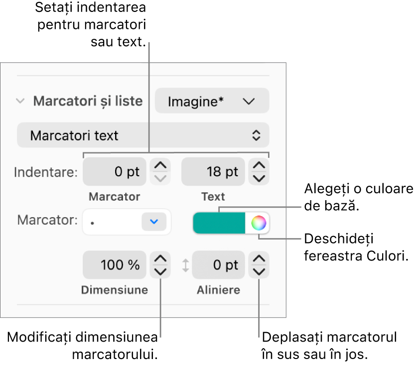 Secțiunea Marcatori/liste cu explicații pentru comenzile de indentare cu marcator și text, culoarea marcatorului, dimensiunea marcatorului și aliniere.
