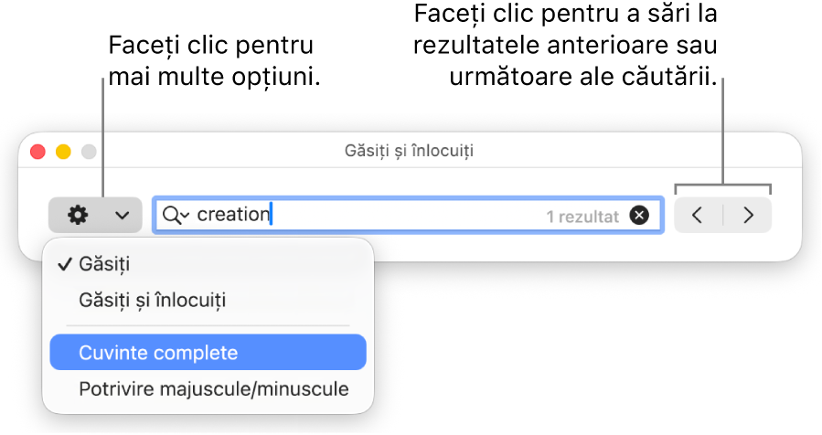 Fereastra Găsește și înlocuiește cu meniul pop-up afișând opțiunile Găsește, Găsește și înlocuiește, Cuvinte complete și Majuscule/minuscule. Săgețile din dreapta vă permit să treceți la rezultatele anterioare sau următoare ale căutării.