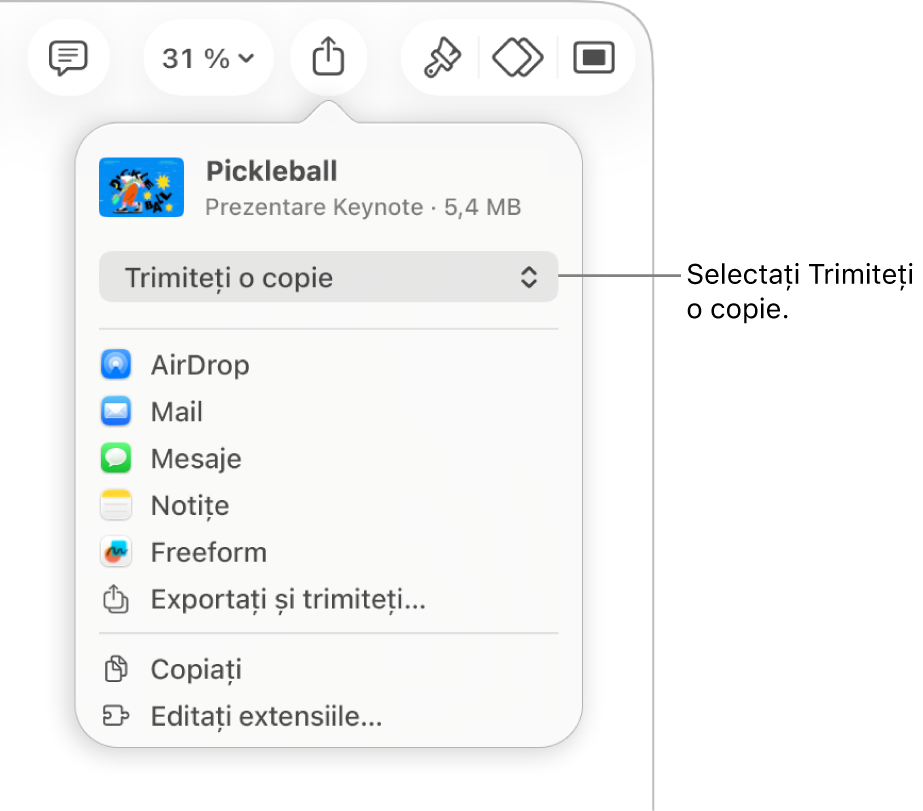 Meniul Partajează, cu opțiunea Trimite o copie selectată în partea de sus.