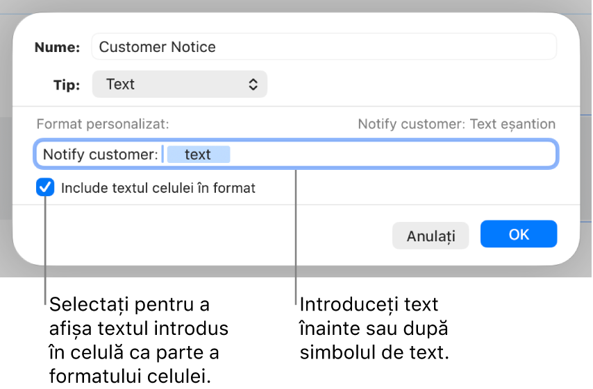 Format de text personalizat de celulă.