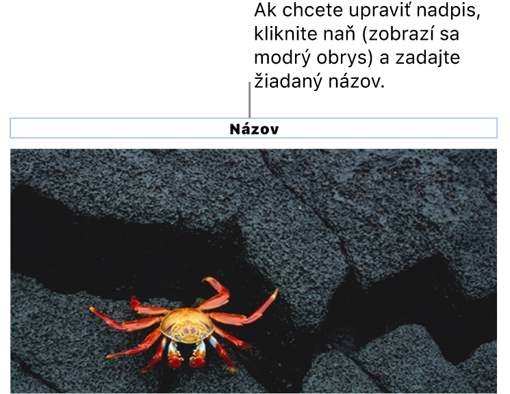 Pod fotkou sa zobrazí vzorový názov „Názov“. Okolo poľa názvu sa zobrazí modrý obrys, čo znamená, že je označený.