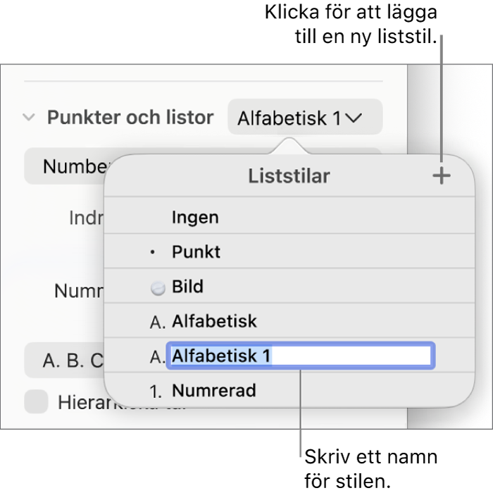 Popupmenyn Liststilar med en lägg till-knapp i det övre högra hörnet och ett platshållarstilnamn med markerad text.