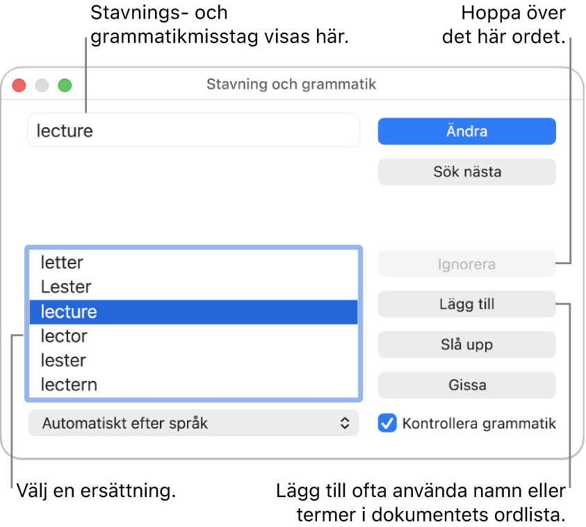 Fönstret Stavning och grammatik.