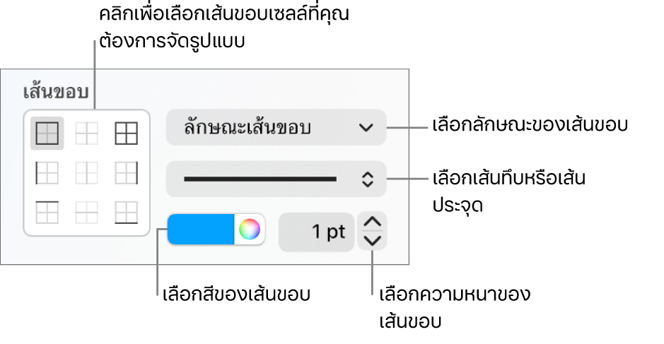 ตัวควบคุมในแถบด้านข้างสำหรับเปลี่ยนรูปลักษณ์ของเส้นขอบของเซลล์
