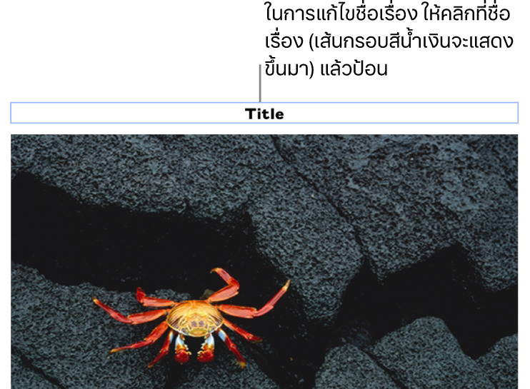 ชื่อเรื่องในช่องว่าง “ชื่อเรื่อง” แสดงขึ้นมาด้านล่างรูปภาพ โดยเส้นกรอบสีน้ำเงินรอบช่องชื่อเรื่องแสดงว่าถูกเลือก