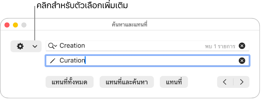 หน้าต่างค้นหาและแทนที่พร้อมคำอธิบายของเมนูที่แสดงขึ้นที่แสดงตัวเลือกเพิ่มเติม
