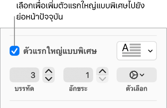 กล่องกาเครื่องหมายตัวแรกใหญ่แบบพิเศษถูกเลือกอยู่ และเมนูที่แสดงขึ้นแสดงทางด้านขวา โดยตัวควบคุมสำหรับการตั้งค่าความสูงของบรรทัด จำนวนอักขระ และตัวเลือกอื่นๆ แสดงอยู่ด้านล่าง