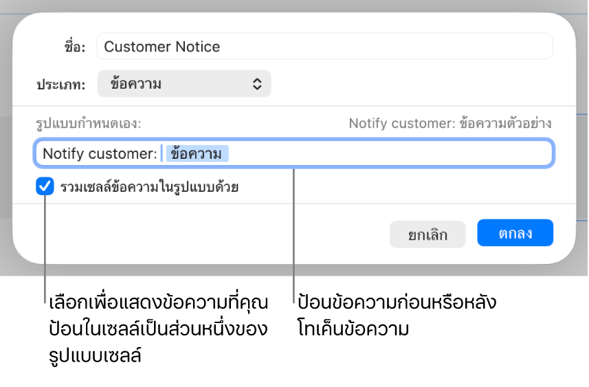 รูปแบบเซลล์ข้อความแบบกำหนดเอง