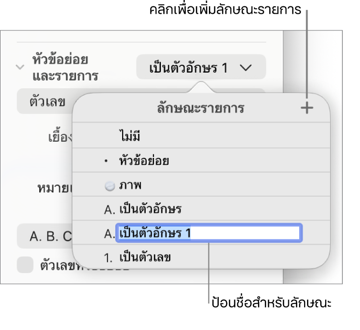 เมนูลักษณะรายการที่แสดงขึ้นที่มีปุ่มเพิ่มอยู่มุมขวาบนสุด และชื่อลักษณะช่องว่างที่มีข้อความที่เลือกอยู่