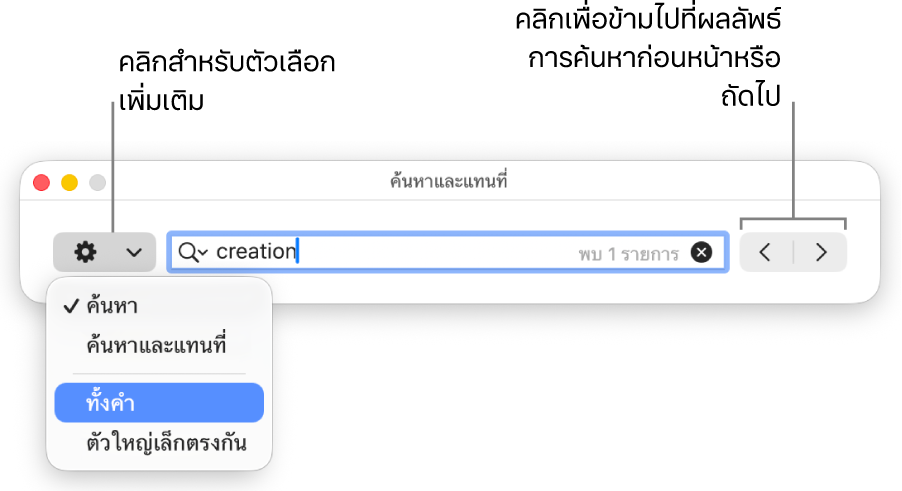 หน้าต่างค้นหาและแทนที่พร้อมเมนูที่แสดงขึ้นที่แสดงตัวเลือกสำหรับค้นหา ค้นหาและแทนที่ ทั้งคำ และตัวใหญ่เล็กตรงกัน ลูกศรด้านขวาทำให้คุณสามารถข้ามไปที่ผลการค้นหาก่อนหน้าหรือถัดไปได้