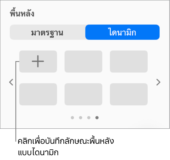 ปุ่มไดนามิกที่เลือกอยู่ในส่วนพื้นหลังของแถบด้านข้างรูปแบบ ซึ่งมีปุ่มเพิ่มลักษณะแสดงอยู่