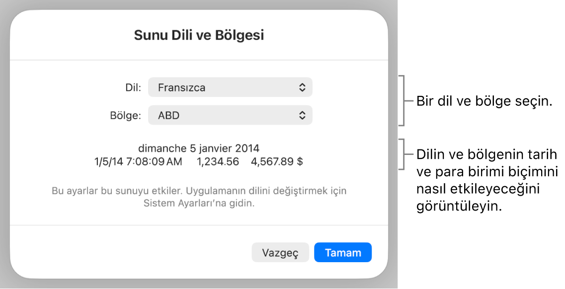 Dil ve bölge denetimleri ve tarih, saat, ondalık ve para birimi de dahil olmak üzere bir biçim örneği ile Dil ve Bölge bölümü.