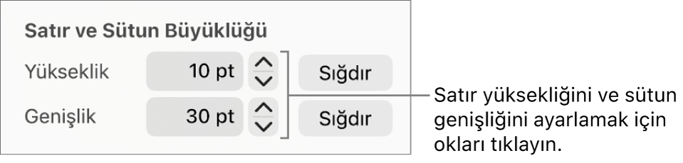 Net satır veya sütun boyutu ayarlama denetimleri.