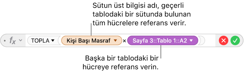 Satır ve sütun seçeneklerini koruma seçeneklerini açmak için tıkladığınız bir üçgenle Formül Düzenleyici.