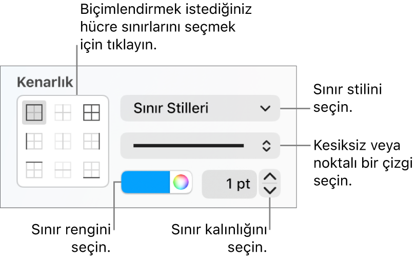 Hücre sınırlarının görünümünü değiştirmeye yönelik Kenar Çubuğu denetimleri.