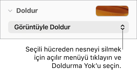Seçilen bir hücreden nesne silmek için kullanılacak denetim.