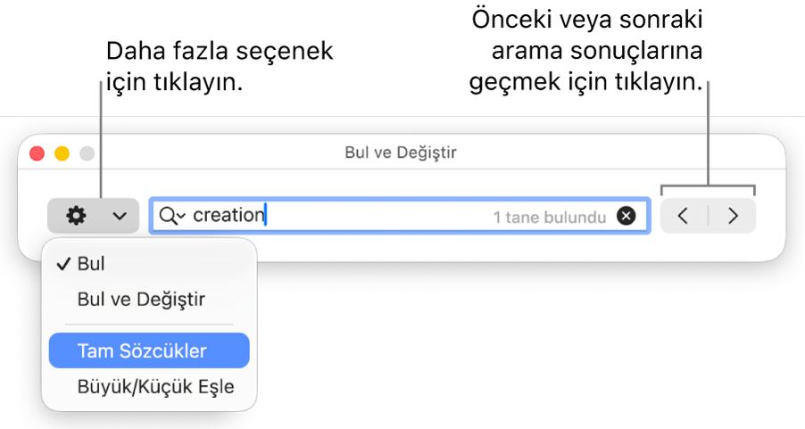 Bul ve Değiştir penceresi; Bul, Bul ve Değiştir, Tam Sözcükler ve Büyük/Küçük Eşle seçeneklerini gösteren açılır menüyü içerir. Sağ taraftaki oklar, önceki veya sonraki arama sonuçlarına gitmenizi sağlar.