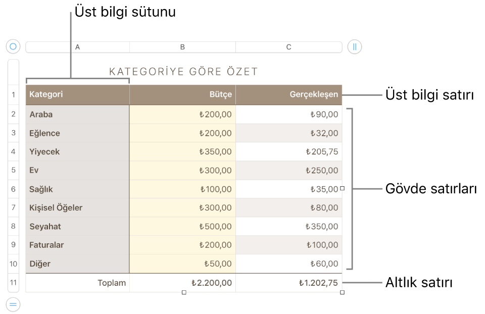 Üst bilgi, gövde ve dipnot satırlarını ve sütunlarını ve satır veya sütun eklemek ya da silmek için tutamakları gösteren bir tablo.