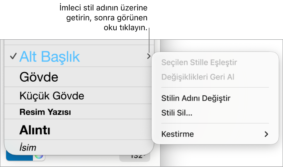 Kestirme menüsünün açık olduğu Paragraf Stilleri menüsü.
