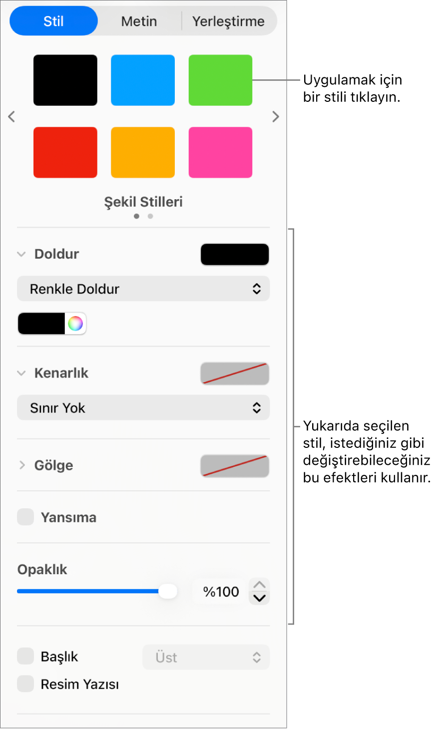 Kenar çubuğunun Biçim bölümündeki şekil stilleri ve seçenekleri.