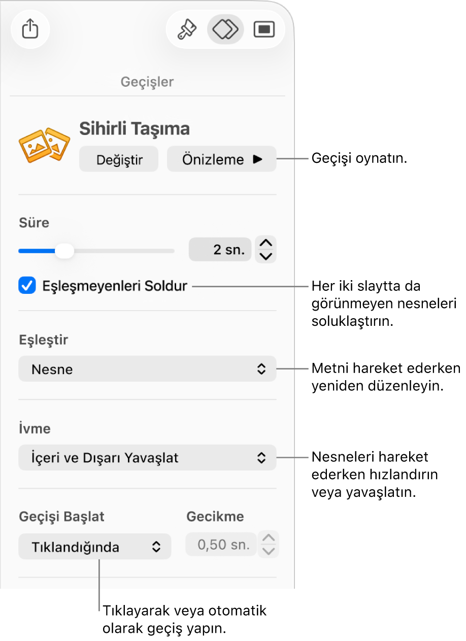 Canlandır kenar çubuğunun Geçişler bölmesindeki Sihirli Taşıma geçiş denetimleri.
