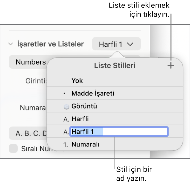 Sağ üst köşede Ekle düğmesi olan Liste Stilleri açılır menüsü ve metni seçili olan yer tutucu stili adı.