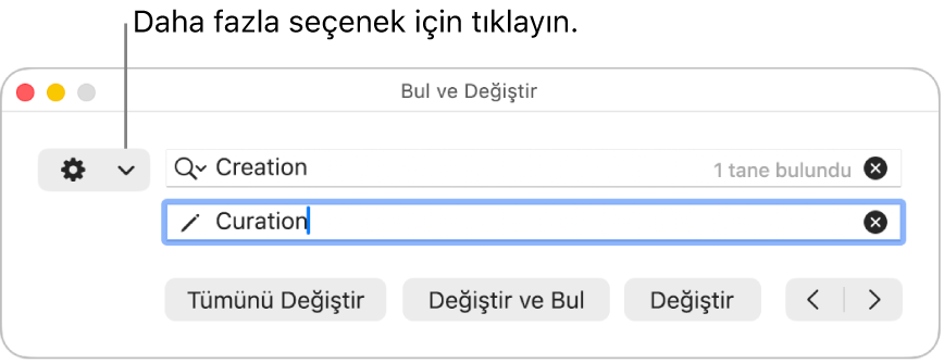 Daha fazla seçenek gösteren açılır menüye bir belirtme çizgisiyle Bul ve Değiştir penceresi.