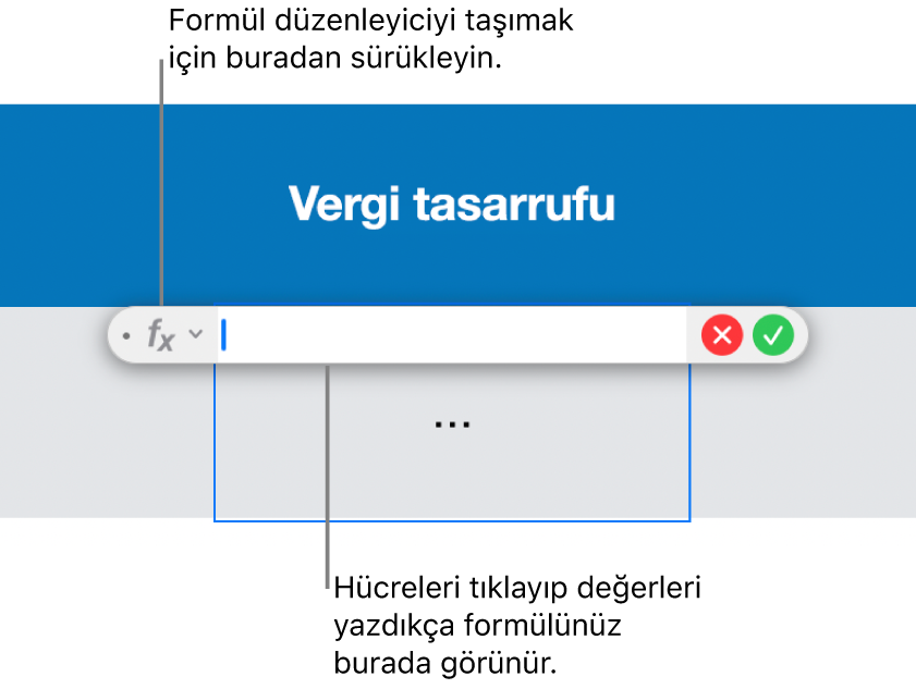 Formül Düzenleyici.