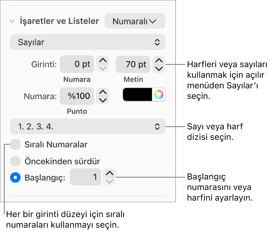 Numara stilini ve bir lise boşluğunu değiştirme denetimleri.