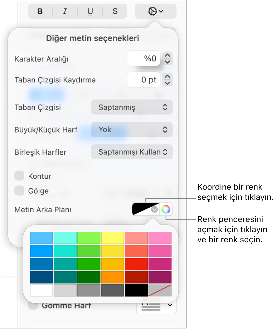 Metin için arka plan rengi seçme denetimleri.
