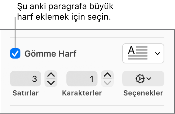 İlki Büyük Harf onay kutusu seçilidir ve sağında bir açılır menü görünür; satır yüksekliğini, karakter sayısını ve diğer seçenekleri ayarlama denetimleri ise altında görünür.