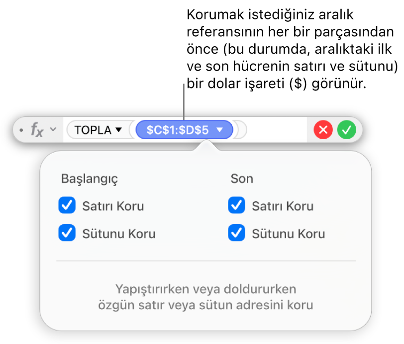 Formül Düzenleyici, belirli bir aralık için seçilen Satırı Koru ve Sütunu Koru seçeneklerini gösteriyor.