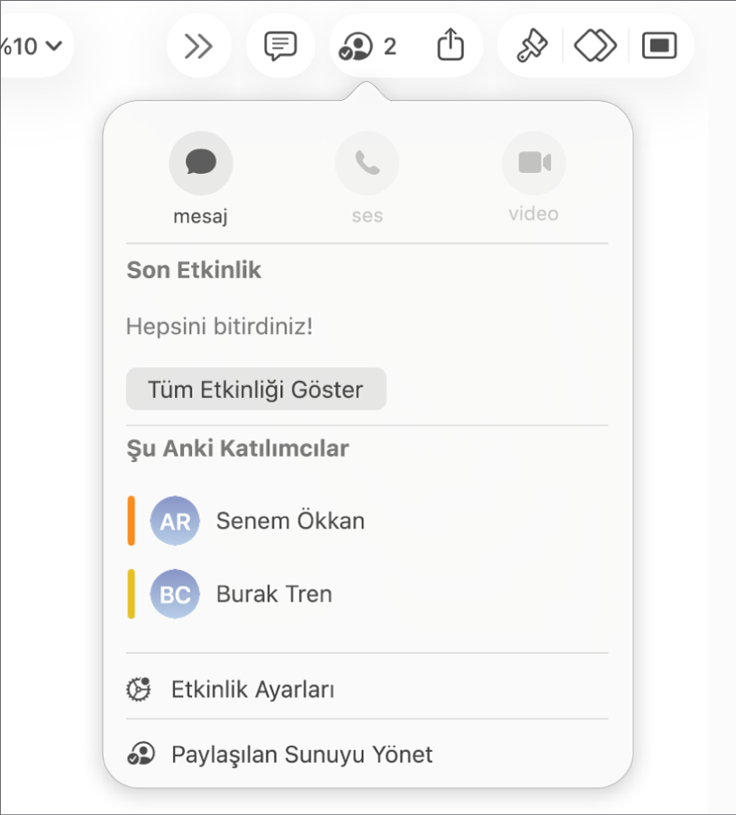 Sunuda ortak çalışan kişilerin adlarını gösteren ortak çalışma menüsü.