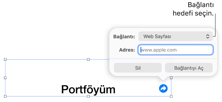 Bağlantı düzenleyici denetimlerinde Web Sayfası seçili, en altta ise Bağlantıyı Sil ve Aç düğmeleri bulunuyor.