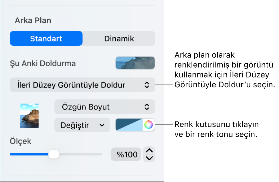 Arka Plan denetimleri, slayt arka planı olarak ayarlanmış renk tonlu bir İleri Düzey Görüntüyle Doldur ile.