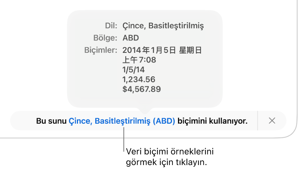 O dil ve bölgede kullanılan biçimlendirme örneklerini gösteren, farklı dil ve bölge ayarı bildirimi.