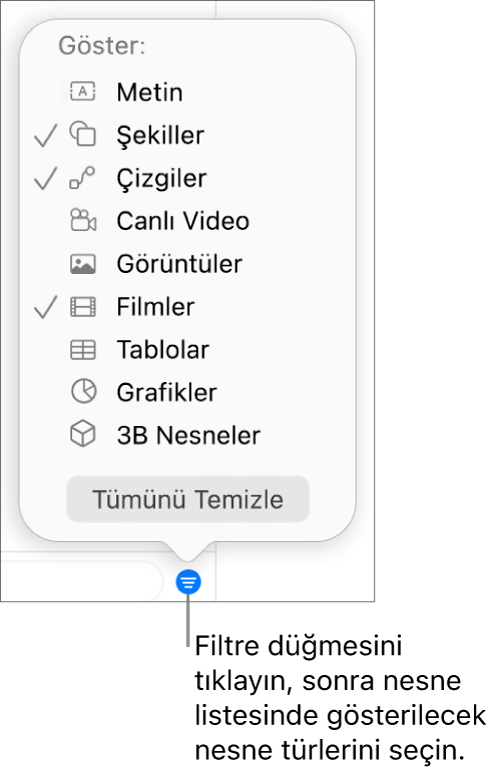 Listenin içerebileceği nesne türlerinin (metin, şekiller, çizgiler, görüntüler, filmler, tablolar ve grafikler) bir listesini içeren, açık haldeki Filtre açılır menüsü.