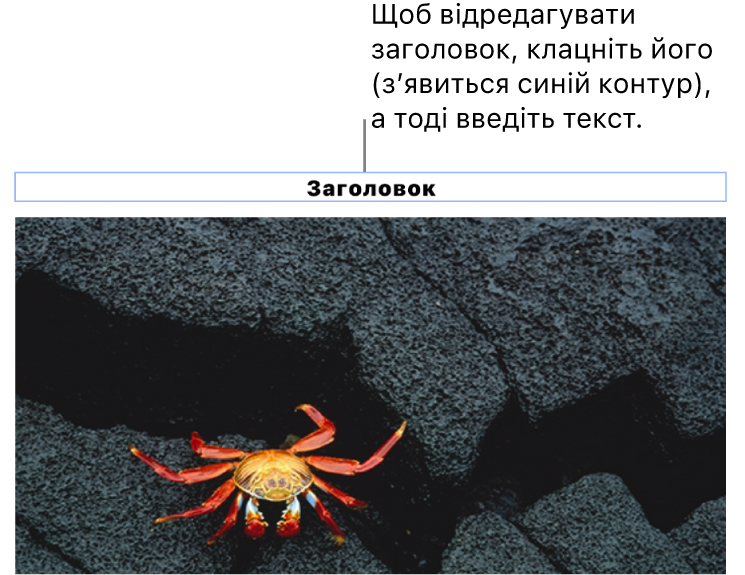 Зразок «Заголовок» відображається під фотографією, синій контур довкола поля заголовку вказує, що його вибрано.