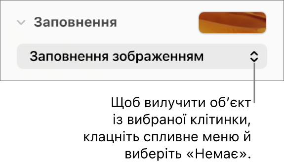 Елементи керування для вилучення обʼєкта з вибраної клітинки.