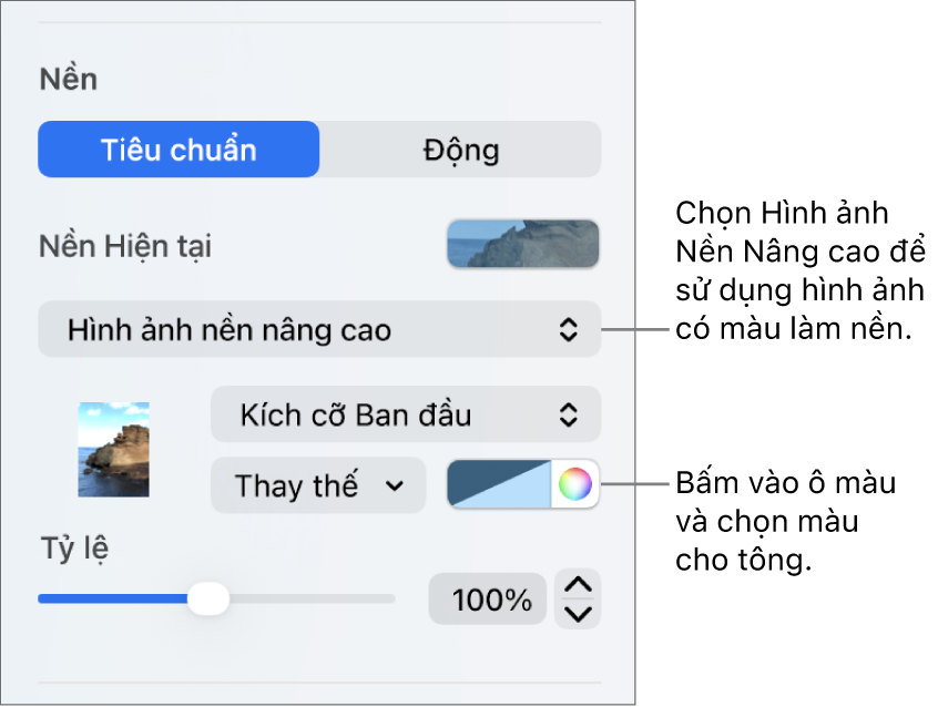 Các điều khiển Nền với Hình ảnh nền nâng cao có màu được đặt dưới dạng nền trang chiếu.