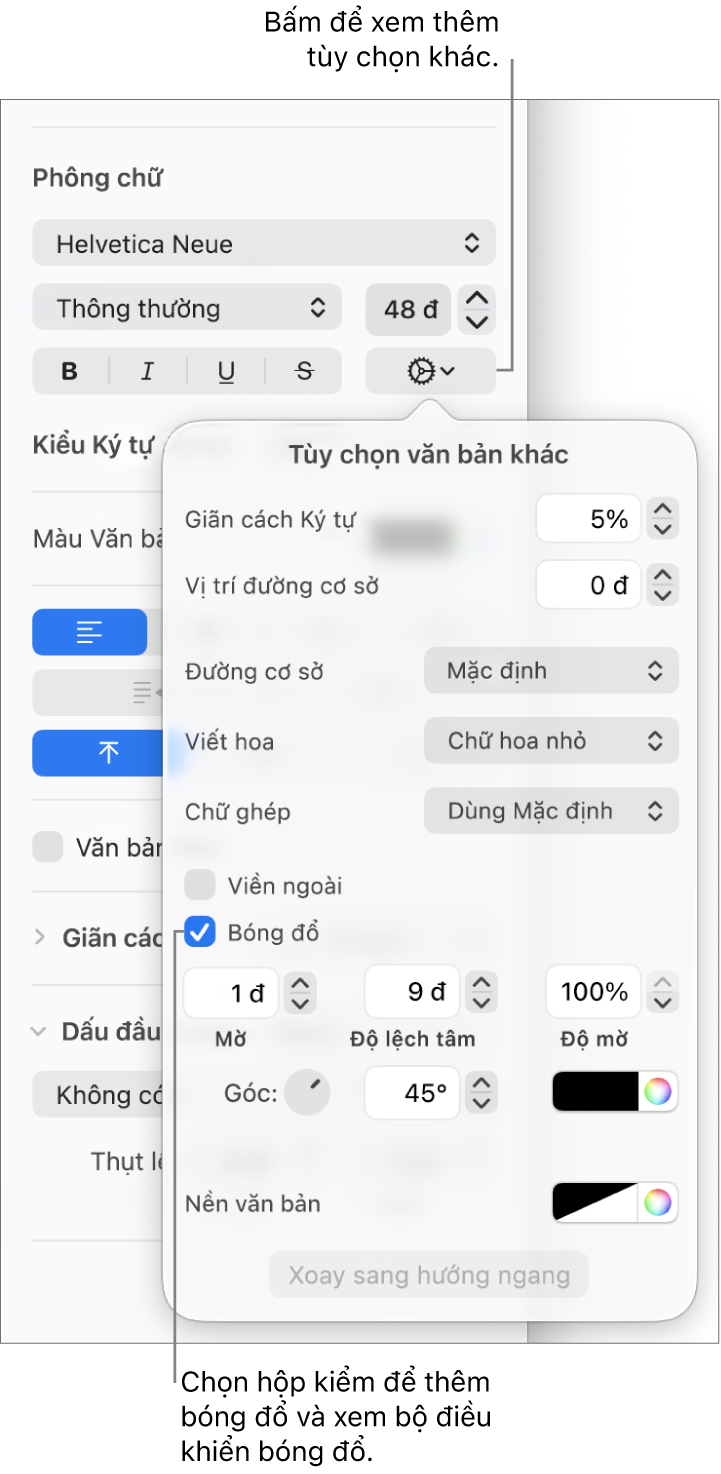 Tùy chọn nâng cao mở với hộp kiểm Bóng đổ được chọn và các điều khiển để đặt độ mờ, độ bù, độ chắn sáng, góc và màu.