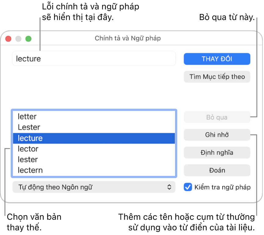 Cửa sổ Chính tả và ngữ pháp.