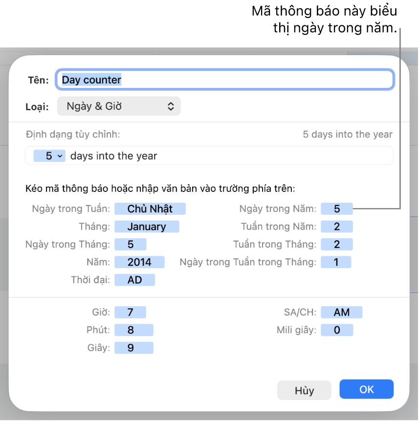 Cửa sổ định dạng ô tùy chỉnh với các điều khiển để tạo định dạng ngày và giờ tùy chỉnh.
