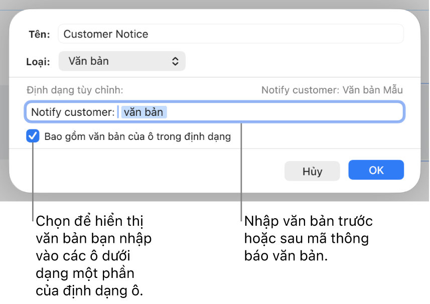 Định dạng ô văn bản tùy chỉnh.