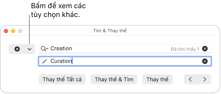 Cửa sổ Tìm & Thay thế có chú thích đến menu bật lên hiển thị thêm tùy chọn.