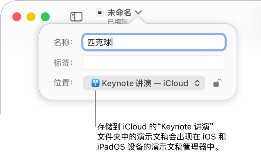 演示文稿的“保存”对话框,“Keynote 讲演—iCloud”在“位置”弹出式菜单中。