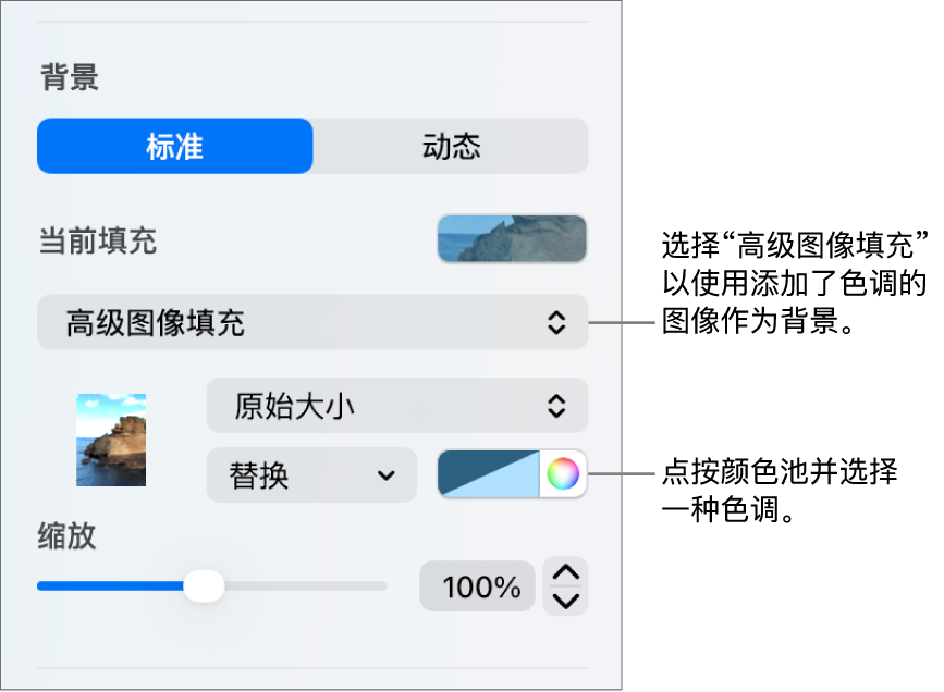 “背景”控制的“高级图像填充”,其中添加了色调的图像设为幻灯片背景。