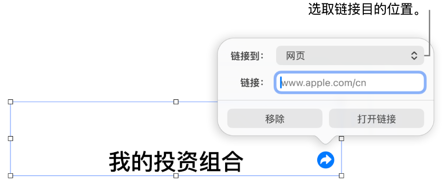 链接编辑器控制,“网页”已选中,“移除”和“打开链接”按钮位于底部。